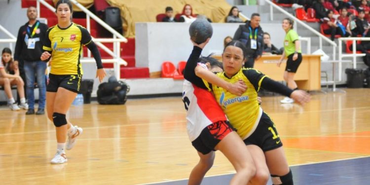 Hentbol Kadınlar Ligi