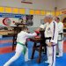 Taekwondocular Şampiyon Melekler için yarıştı