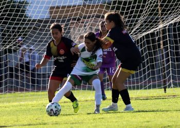 Puma Kadınlar Ligi’nde transfer ve tescil dönemi başladı