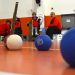 Bedensel Engelliler Boccia Milli Takımı Paris için kota peşinde