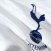 Tottenham’da geçici teknik direktör Stellini’nin görevine son verildi