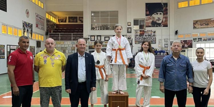 Taekwondoda 2 organizasyon