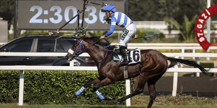 97. Gazi Koşusu’nu “Urfa Aslanı” kazandı