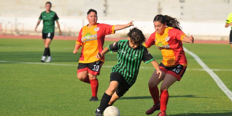 Puma Kadınlar Ligi’nde başvurular 8 Aralık Cuma günü sona erecek – BRTK