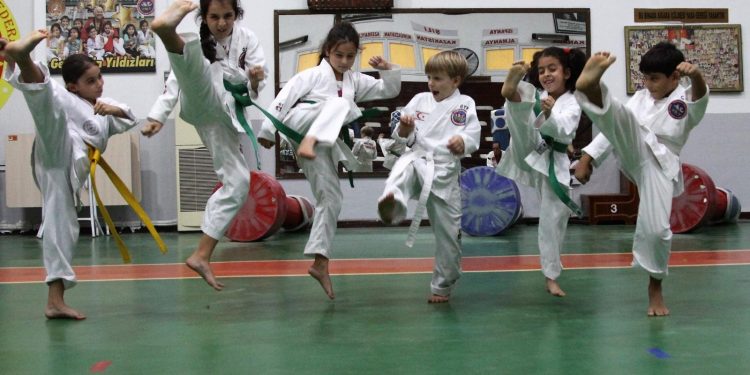 Taekwondocular Miroğlu anısına yarıştı – BRTK