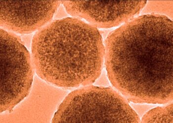 Beyin kanamasını durdurabilecek nanorobotlar üretildi