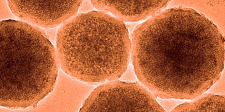 Beyin kanamasını durdurabilecek nanorobotlar üretildi