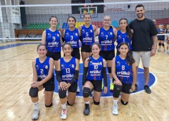Voleybol Alt Ligler