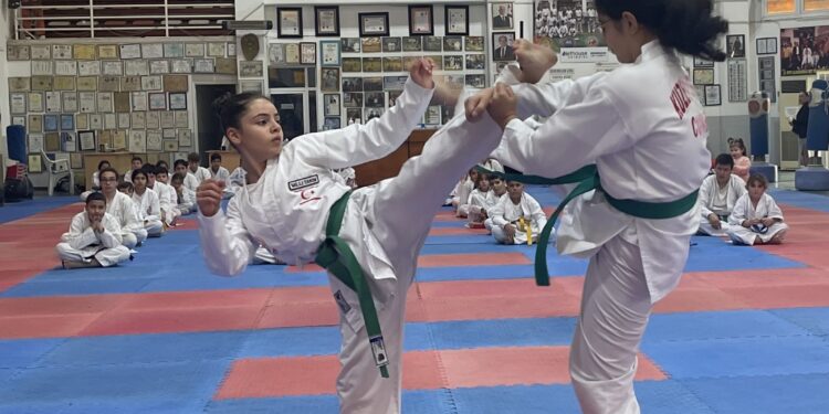 Taekwondoda Bozatlı anı müsabakaları