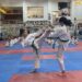 Taekwondoda Bozatlı anı müsabakaları