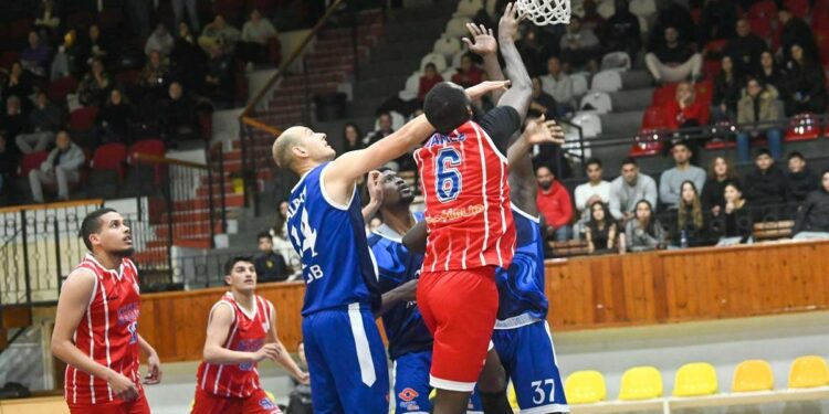 Basketbol Federasyon Kupası