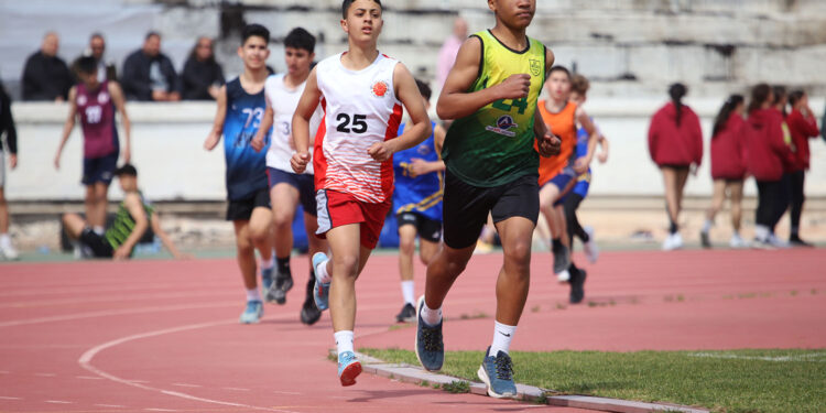 HASAN RUSO ANISINA YARIŞTILAR