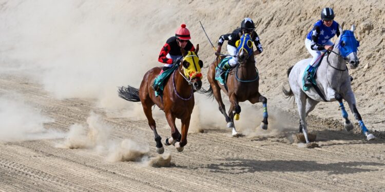 At yarışları yapıldı