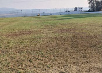 TAHSİN MERTEKÇİ STADI SUSUZLUKTAN KURUYOR