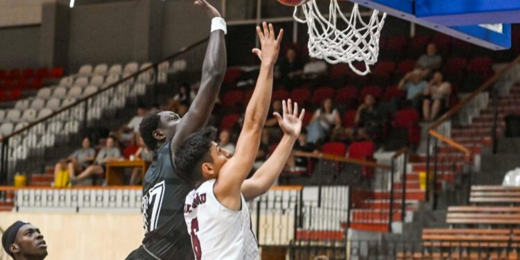 Yakın Doğu Gelişim finalde