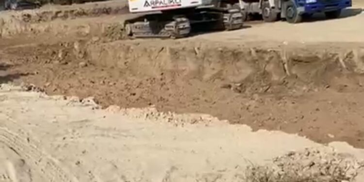 DTB’de tesis büyüyor