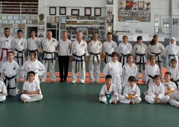 Sinan Erdem Taekwondo-Karate-Budo Şampiyonası