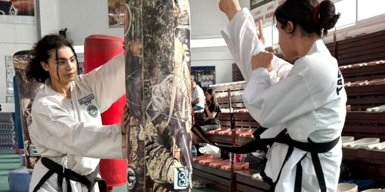 Taekwondocular Yaz Kupası için mücadele etti