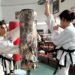 Taekwondocular Yaz Kupası için mücadele etti
