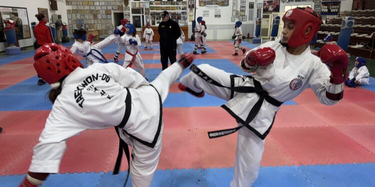 Erdem Orel Taekwondo-Karate-Budo Şampiyonası yapıldı