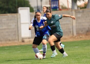 KADINLAR LİGİ’NDE FİKSTÜR 29 ARALIK’TA ÇEKİLİYOR