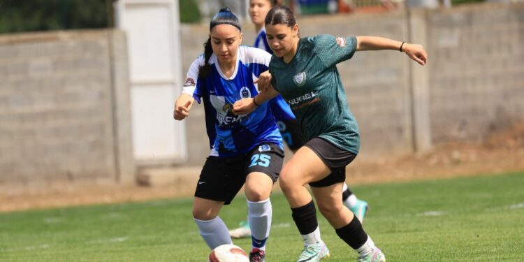 KADINLAR LİGİ’NDE FİKSTÜR 29 ARALIK’TA ÇEKİLİYOR