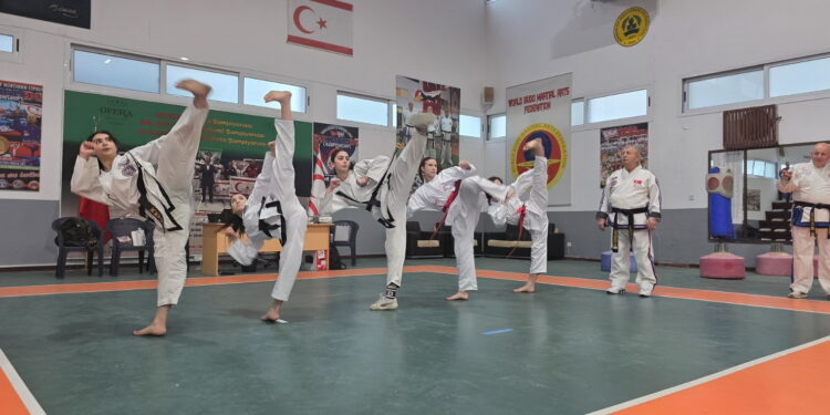 CEMAL ÖMÜRSEL ANISINA YARIŞTILAR